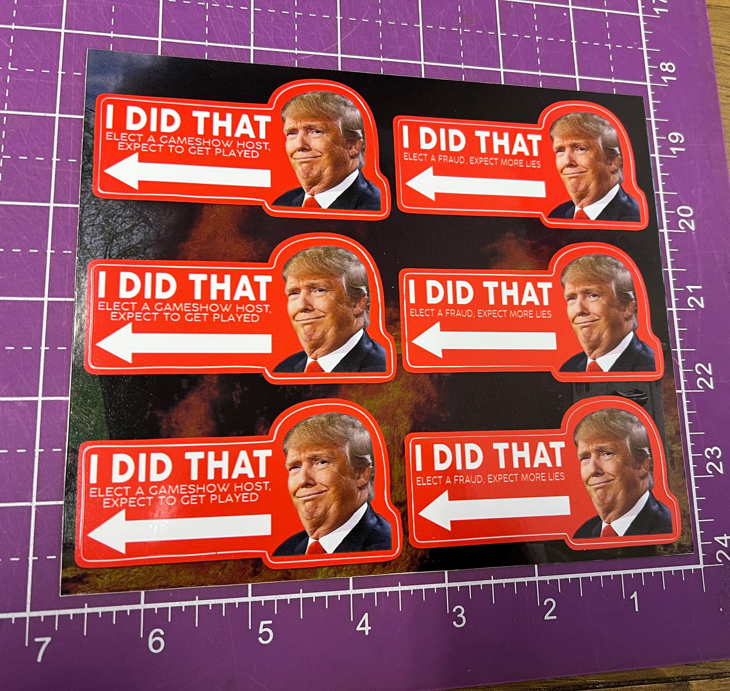 I Did That Trump Sticker Sheet