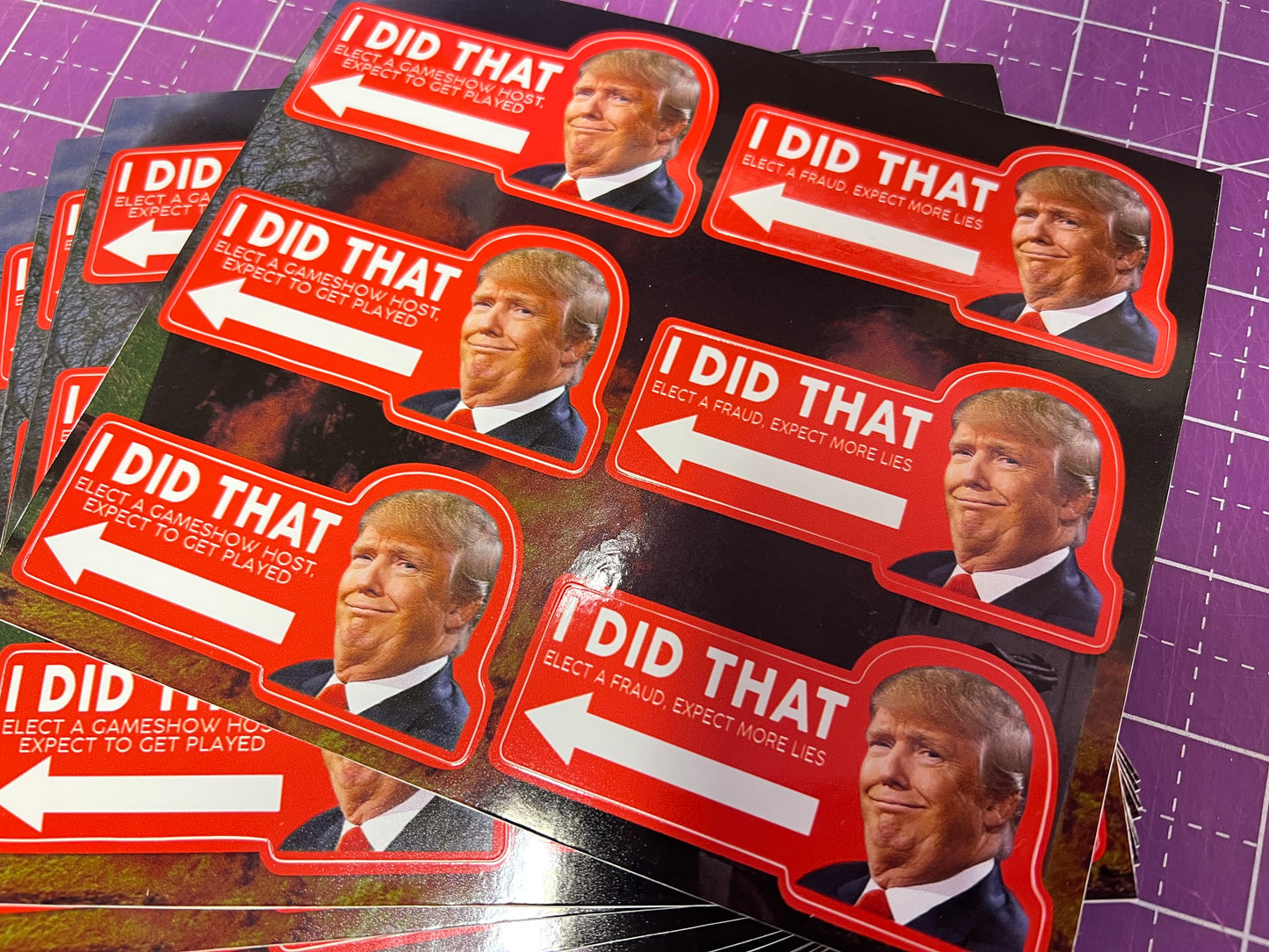 I Did That Trump Sticker Sheet