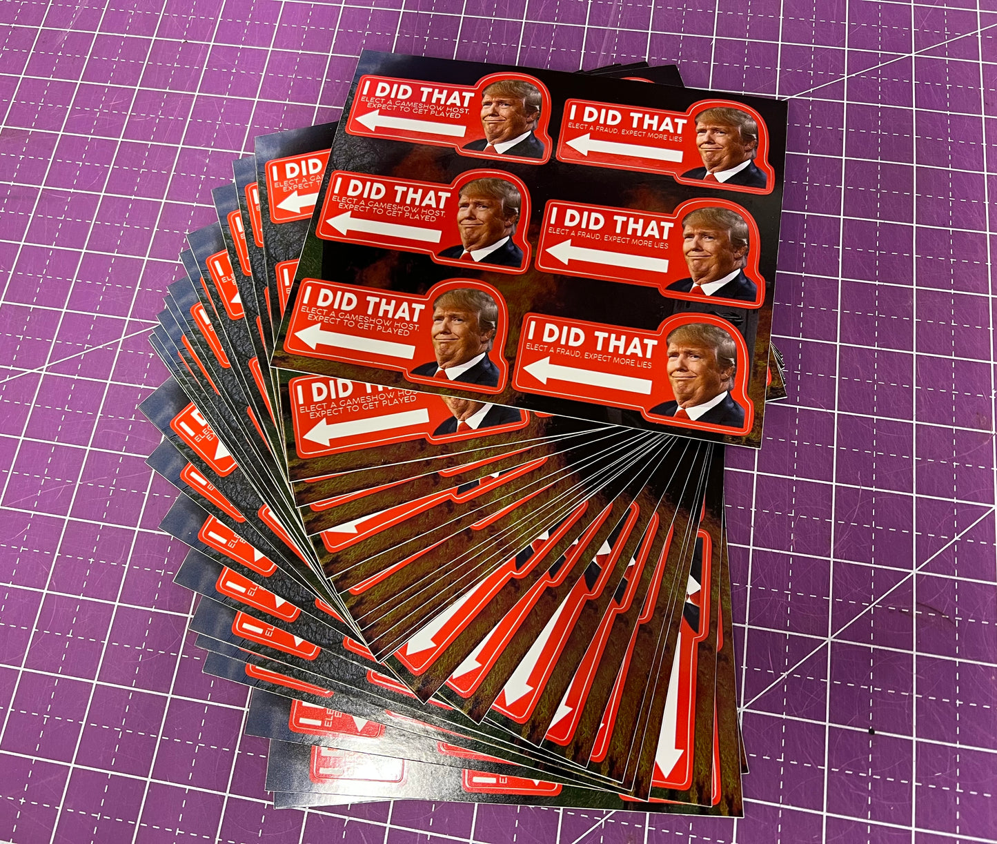 I Did That Trump Sticker Sheet